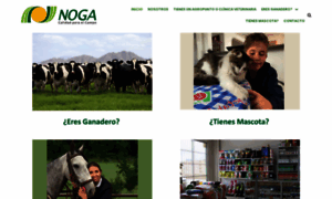 Noga.com.co thumbnail