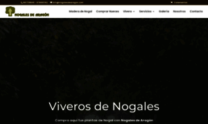 Nogalesdearagon.com thumbnail