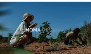 Nomaoriginal.com thumbnail
