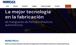 Norflexmexico.com thumbnail