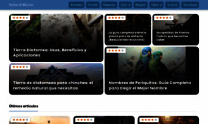 Notasalminuto.com thumbnail