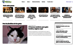 Notasdemascotas.com thumbnail