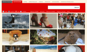 Noticiascuriosas.todoeslibre.com thumbnail