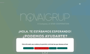 Novaigrup.com thumbnail