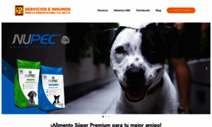 Nupecdistribuidor.com thumbnail