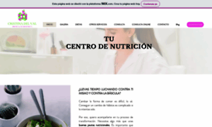 Nutricionistacristinadelval.com thumbnail