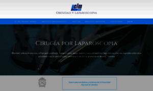Obesidadylaparoscopia.com thumbnail