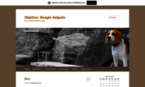 Objetivobeagledelgado.wordpress.com thumbnail