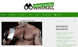 Observacionanimal.com thumbnail