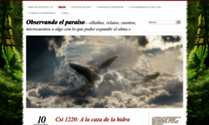 Observandoelparaiso.wordpress.com thumbnail