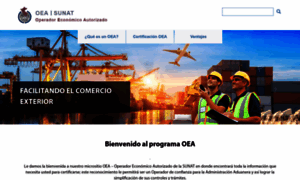 Oea.sunat.gob.pe thumbnail