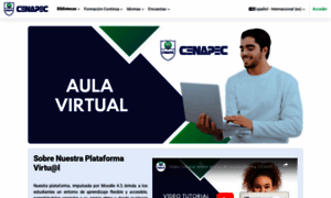 Online.cenapec-online.com thumbnail
