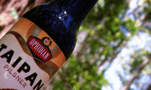 Ophidianbrewing.com thumbnail