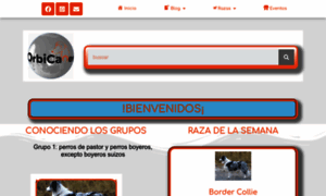 Orbicanes.info thumbnail
