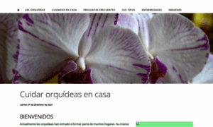 Orquideasweb.com thumbnail
