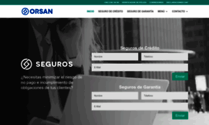 Orsanseguros.cl thumbnail