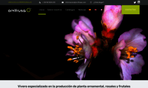 Orvifrusa.com thumbnail