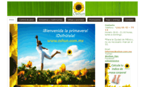 Oshun.com.mx thumbnail