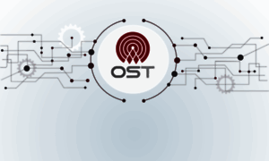 Ost.com.bo thumbnail