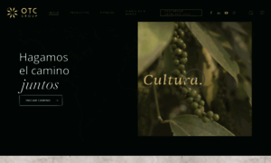 Otcgroup.es thumbnail