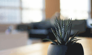 Owa.consolidar.com.ar thumbnail