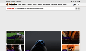 Oxitocinamagazine.com thumbnail
