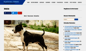 Palafoxbullterriers.com thumbnail