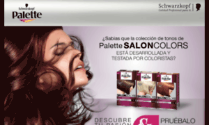 Palette-promociones.com thumbnail