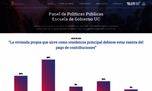 Panelpoliticaspublicas.cl thumbnail
