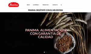 Panima.es thumbnail