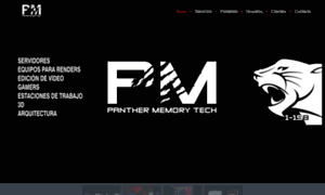 Panthermemory.com thumbnail