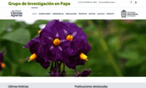Papaunc.com thumbnail
