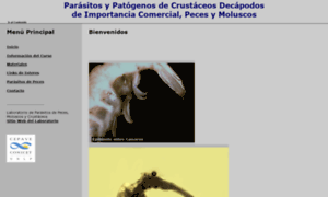 Parasitosypatogenos.com.ar thumbnail