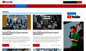 Pasionseo.com thumbnail