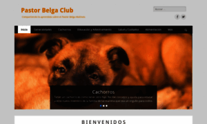 Pastorbelgaclub.com thumbnail