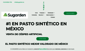 Pastosintetico.org thumbnail