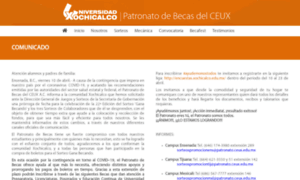 Patronato.xochicalco.edu.mx thumbnail