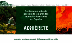 Paucostafoundation.org thumbnail