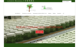Paulownia112.com thumbnail