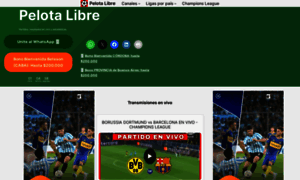 Pelotalibre.com.ar thumbnail