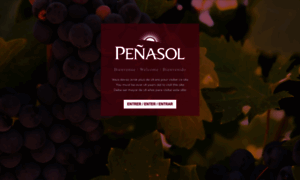 Penasol.com thumbnail