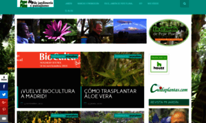 Pepeplana.com thumbnail