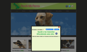 Perdimiperro.com thumbnail