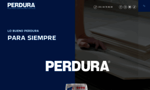 Perdura.com.mx thumbnail