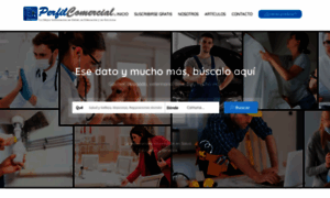 Perfilcomercial.cl thumbnail