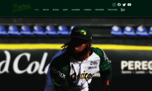 Pericosdepuebla.com thumbnail