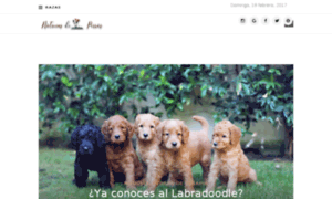 Perrosyastrologia.com thumbnail