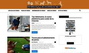 Perrosycachorros.net thumbnail