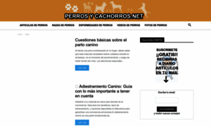 Perrosycachorros.net thumbnail