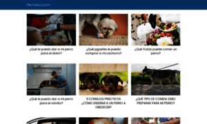 Perroteca.com thumbnail